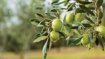 BAKTAT'tan şok karar!