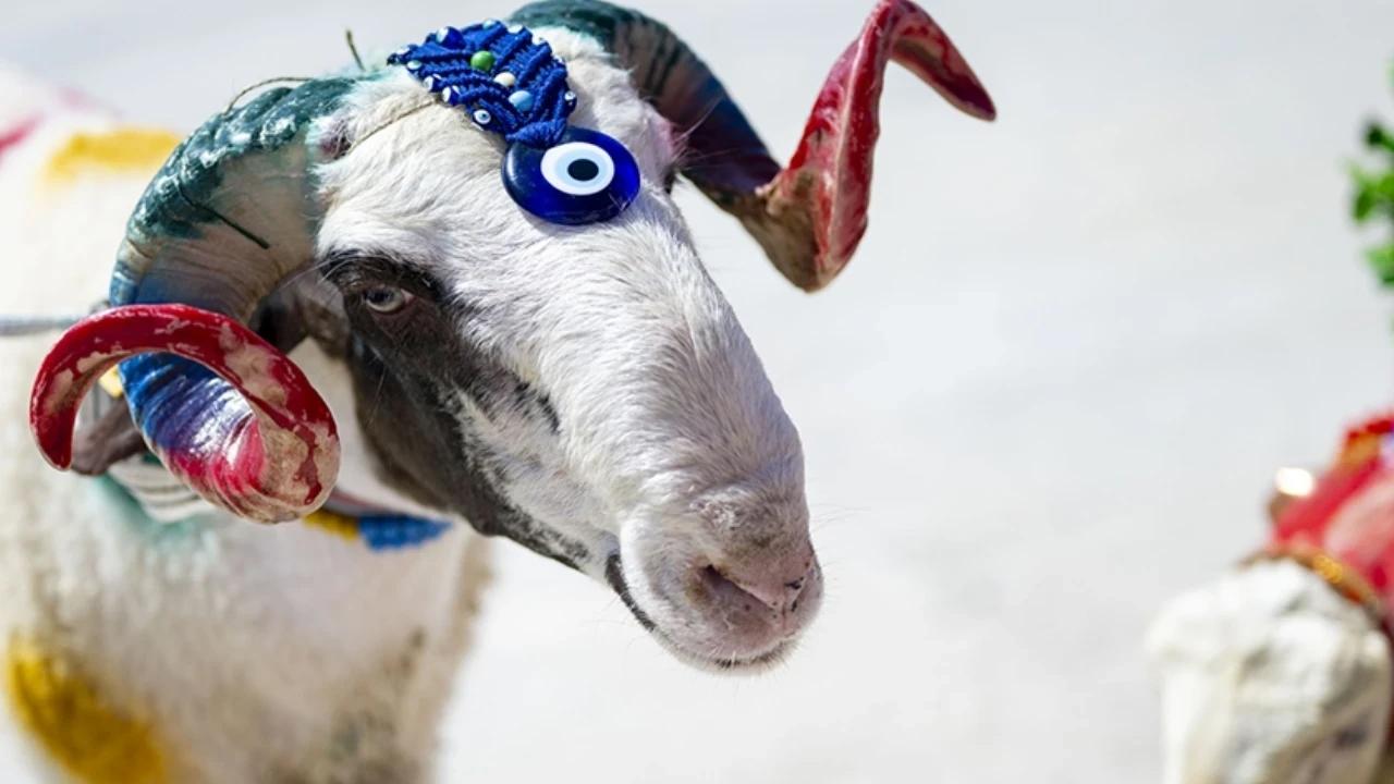 Bayram tatili kaç gün olacak, Kurban Bayramı tatili 9 gün olur mu?