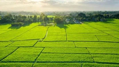 Bu illerden arsa alanlar kazandı! Artış yüzde 90'a dayandı