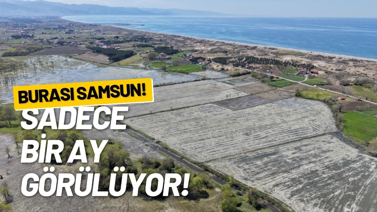 Burası Samsun! Yılda sadece 30 gün görülüyor!