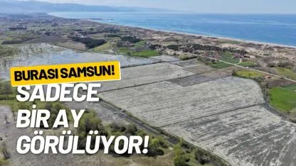 Burası Samsun! Yılda sadece 30 gün görülüyor!