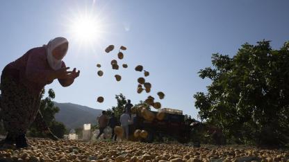 Dünya Meteoroloji Örgütü korkuttu