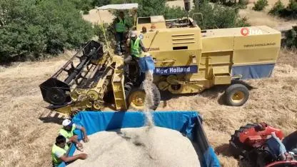 Ekmek, un, yem... Hepsinde rekor artış kapıda!