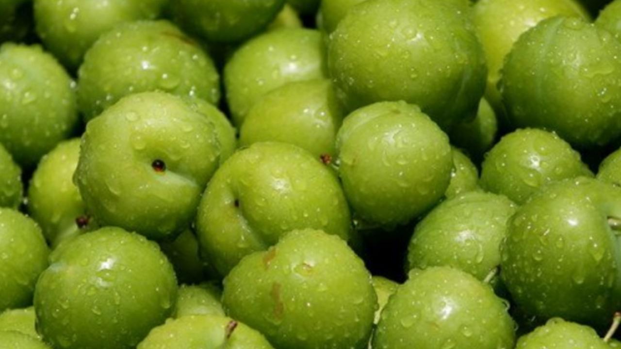 Erik çıktı mı, erik kilosu ne kadar?