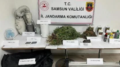 Samsun'da evde kenevir yetiştiren şahsa jandarmadan operasyon