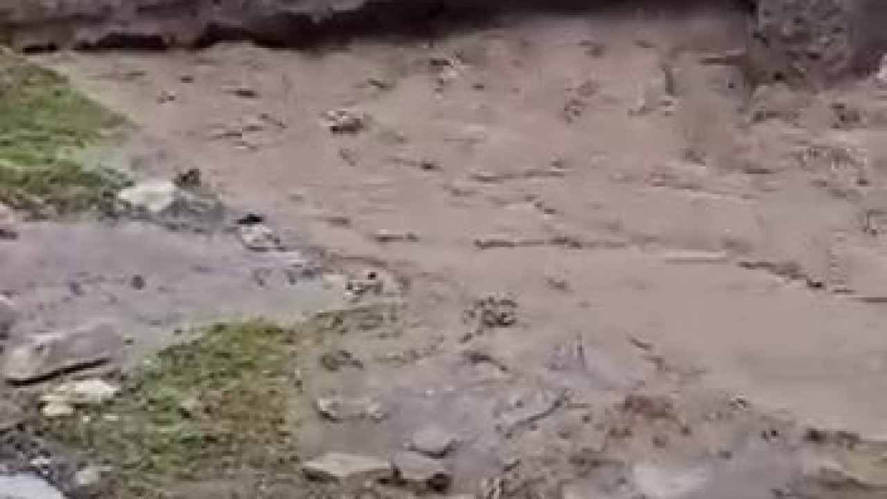 Faciadan dönüldü! Sel suları bir evi yuttu