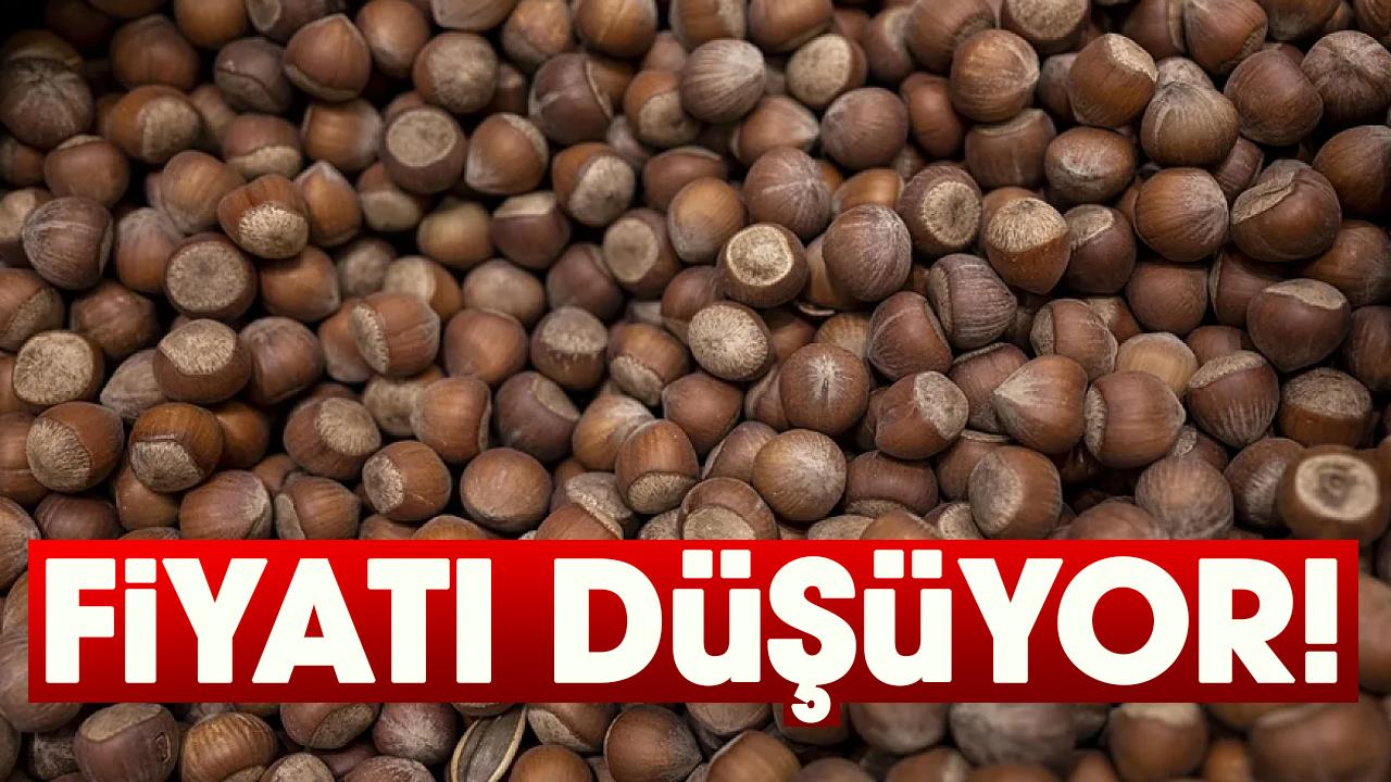 Fındık fiyatı düşüyor!