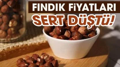 Fındık fiyatları düştü mü? Fındık fiyatları ne kadar?
