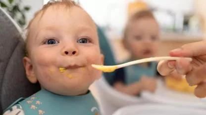 HiPP bebek mamasında fare zehri skandalı! Türkiye’de de satılıyor