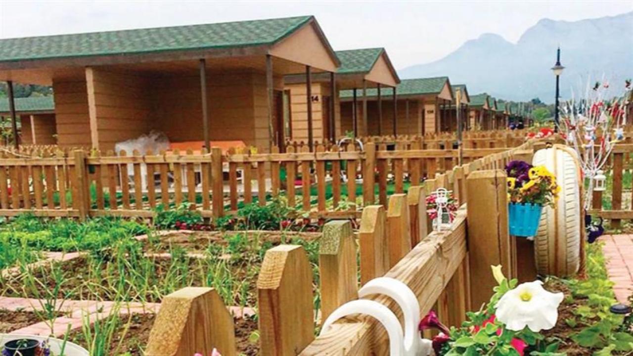 Hobi bahçeleri için yeni karar çıktı! Revize edilecek