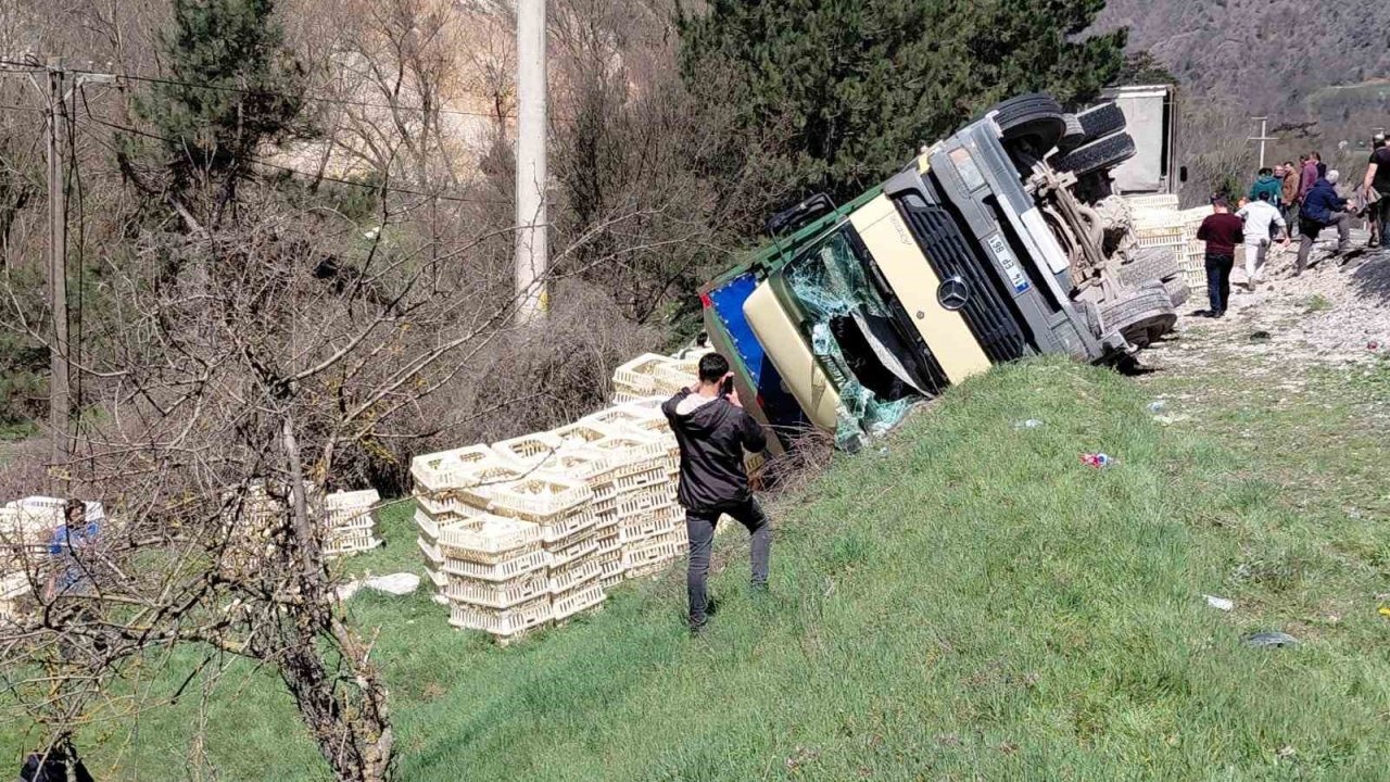 Kamyondan sürücü kurtuldu, onlarca tavuk telef oldu