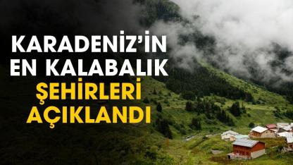 Karadeniz'in en kalabalık şehirleri açıklandı