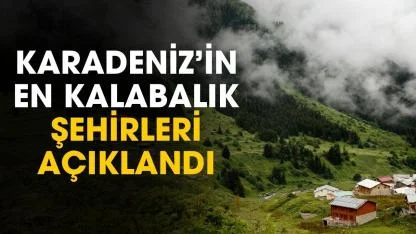 Karadeniz'in en kalabalık şehirleri açıklandı