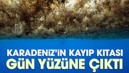 Karadeniz’in kayıp kıtası gün yüzüne çıktı