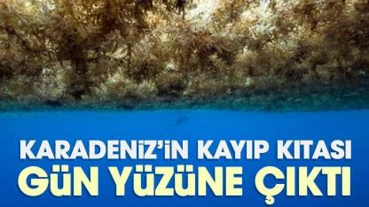 Karadeniz’in kayıp kıtası gün yüzüne çıktı
