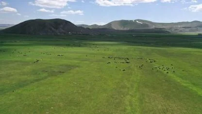 Kars'ta mera kullanımı yasaklandı mı? Bakanlıktan açıklama geldi