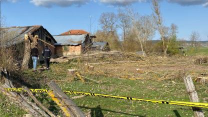 Kestiği ağaç son oldu!