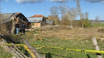 Kestiği ağaç son oldu!