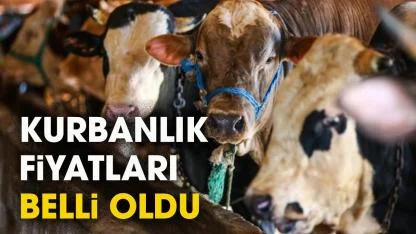 Kurbanlık fiyatları belli oldu mu? 2026 küçükbaş, büyükbaş kurbanlık fiyatları