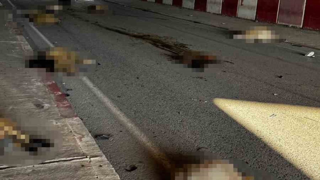 Otomobil sürüye daldı, 17 koyun telef oldu