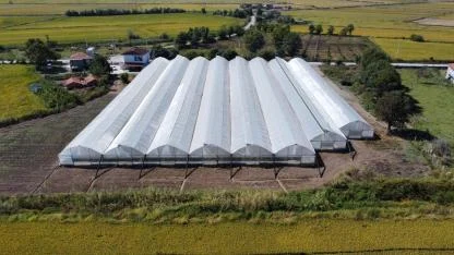 Samsun’da tarımsal projelerle istihdam artırılıyor