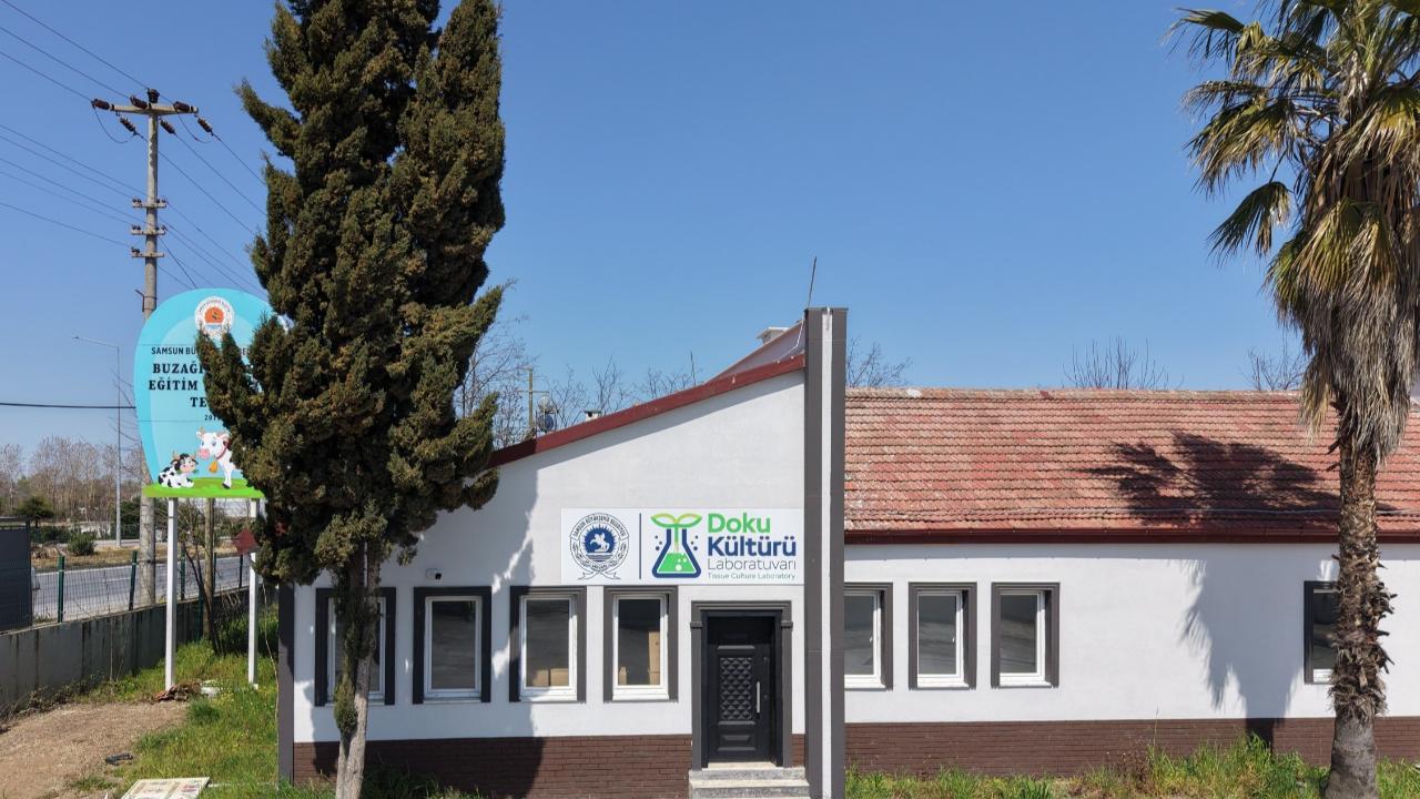 Samsun Büyükşehir Belediyesi’nden tarımda güçlü bir adım daha!