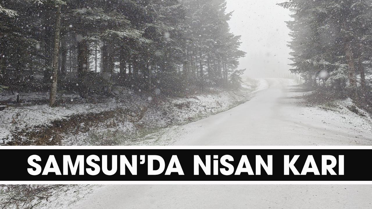 Samsun nisanda beyaz örtü ile kaplandı