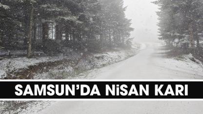 Samsun nisanda beyaz örtü ile kaplandı