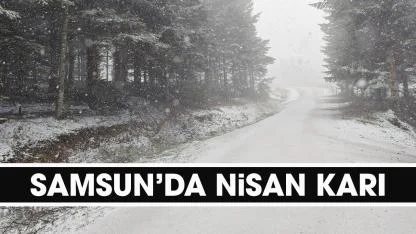 Samsun nisanda beyaz örtü ile kaplandı