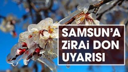 Samsun'a zirai don uyarısı!