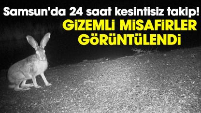 Samsun'da 24 saat kesintisiz takip! Gizemli misafirleri görüntülendi