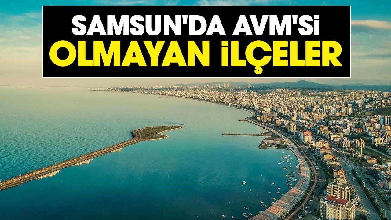 Samsun'da AVM'si olmayan ilçeler