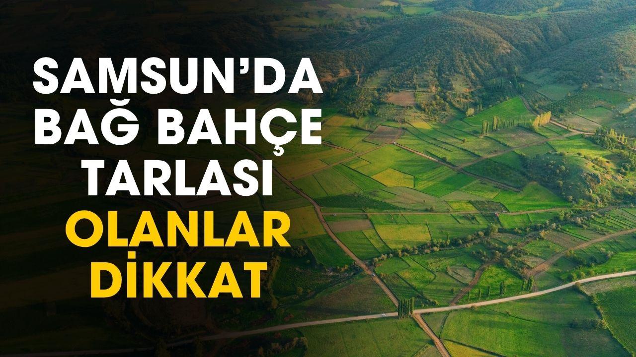 Samsun'da bağ bahçe tarlası olanlar dikkat: kritik uyarı