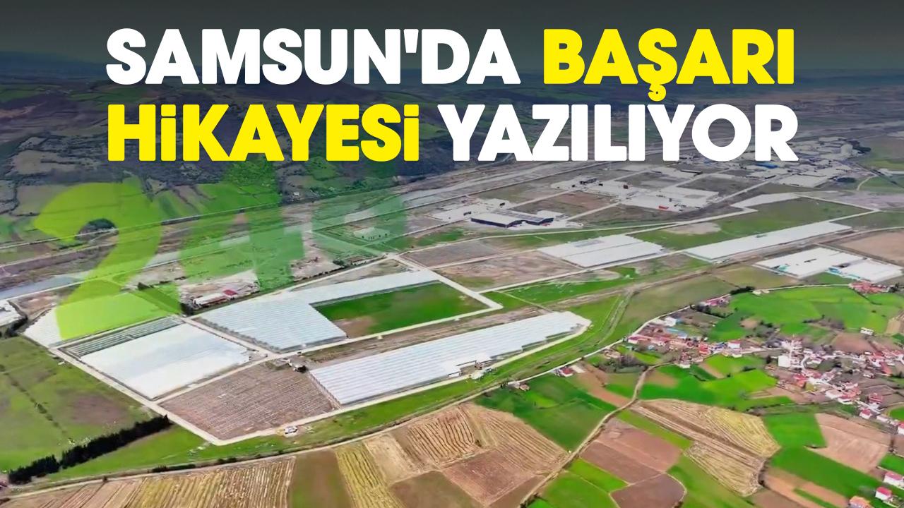 Samsun'da başarı hikayesi yazılıyor