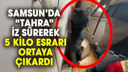 Samsun’da da jandarma köpeği Tahra 5 kilo esrar ele geçirdi