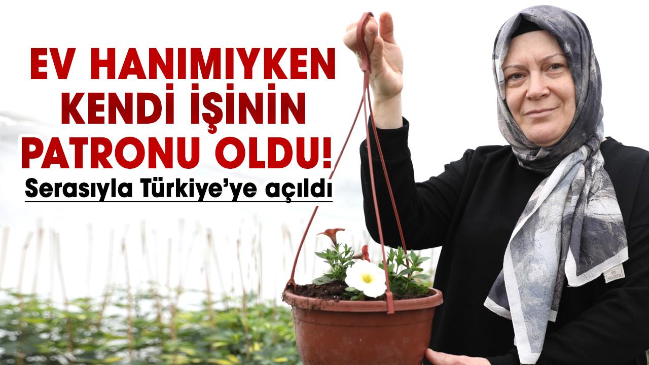 Samsun'da ev hanımıyken kendi işinin patronu oldu! Serasıyla Türkiye’ye açıldı