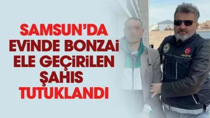 Samsun'da evinde bonzai ele geçirilen şahıs tutuklandı
