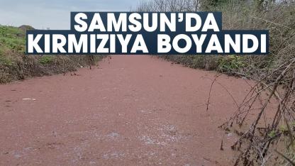 Samsun'da kırmızıya boyandı! Görenler gözlerine inanamıyor