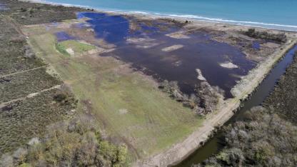 Samsun'da Kızılırmak Deltası'nda keskin uçlu sazlar temizlendi