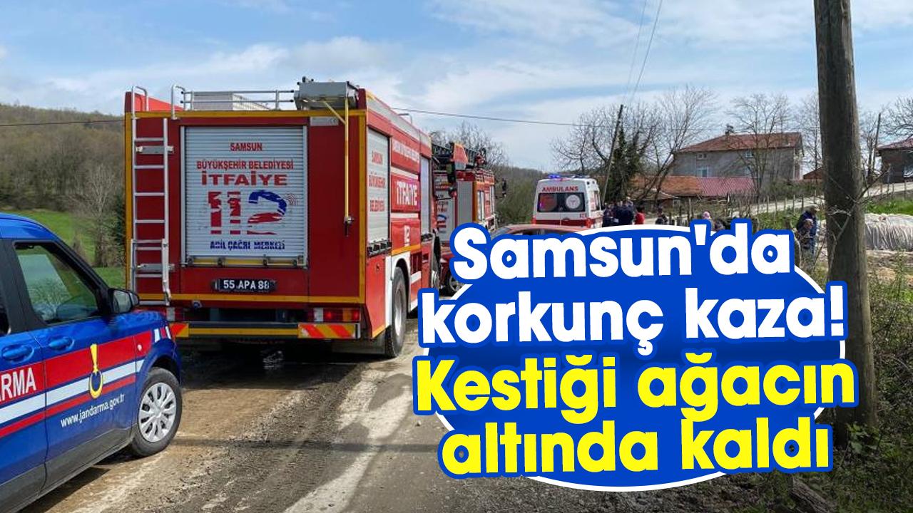 Samsun'da korkunç kaza! Tuncay Aslan kestiği ağacın altında kaldı