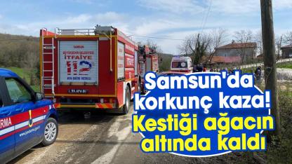 Samsun'da korkunç kaza! Tuncay Aslan kestiği ağacın altında kaldı