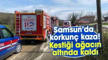 Samsun'da korkunç kaza! Tuncay Aslan kestiği ağacın altında kaldı