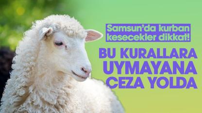 Samsun'da kurban kesecekler dikkat! Bu kurallara uymayana ceza var
