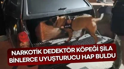 Samsun'da narkotik dedektör köpeği Şila 165 bin adet uyuşturucu hap buldu
