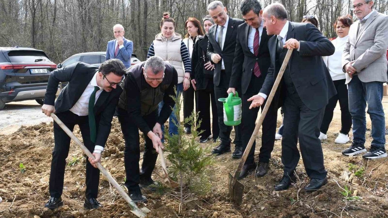 Samsun’da ormanlarda ağaçlandırma yapıldı