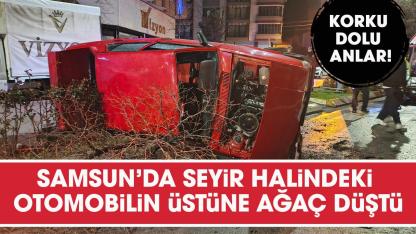 Samsun'da seyir halindeki otomobilin üstüne ağaç devrildi