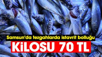 Samsun'da tezgahlarda istavrit bolluğu: Kilosu 70 TL'den satılıyor