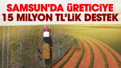 Samsun'da üreticiye 15 milyon TL’lik destek