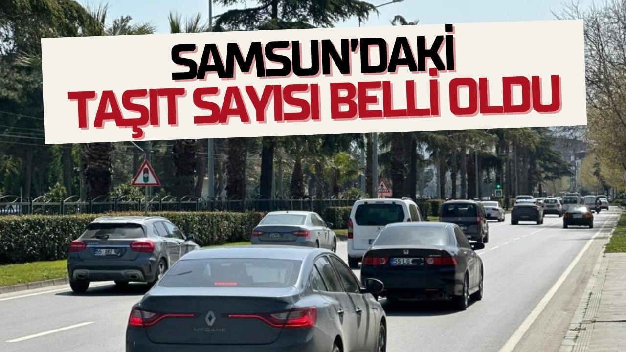 Samsun'daki taşıt sayısı belli oldu
