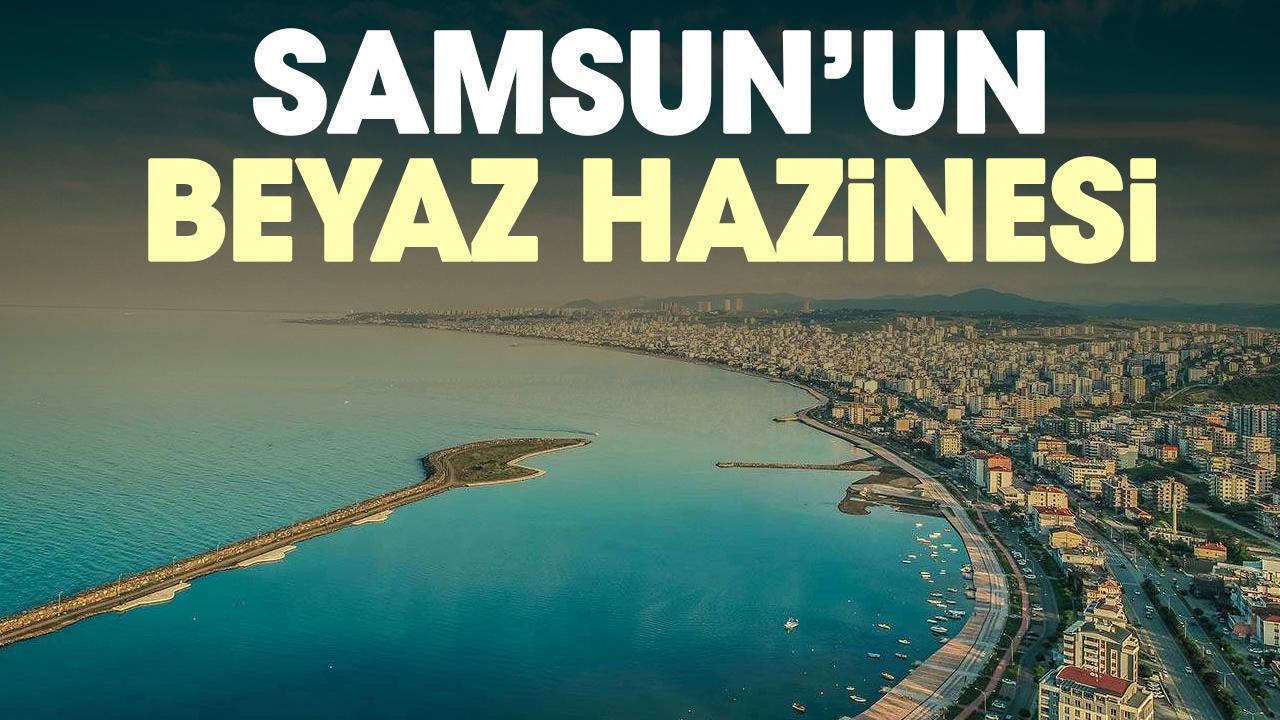 SAMSUN’UN BEYAZ HAZİNESİ: KAZ KÜLTÜRÜ